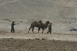 Kunlun_49