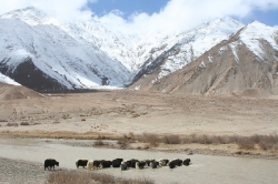 Kunlun_57
