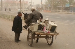 Taklamakan_07