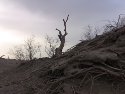 Taklamakan_18