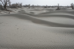 Taklamakan_24