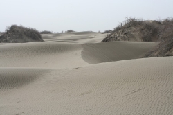 Taklamakan_28