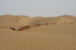 Taklamakan_34