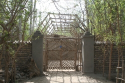 Taklamakan_78