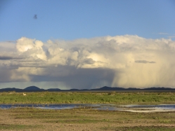 Altiplano