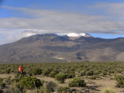 Altiplano