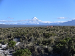 Altiplano