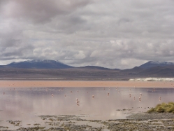 Altiplano