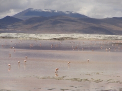 Altiplano