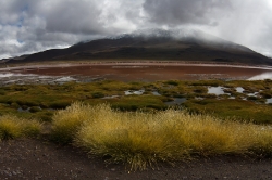 Altiplano