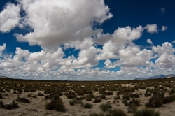 Altiplano