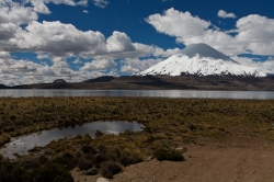 Altiplano