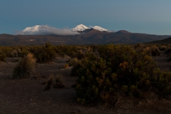 Altiplano