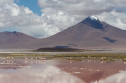 Боливия, Альтиплано