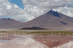Altiplano