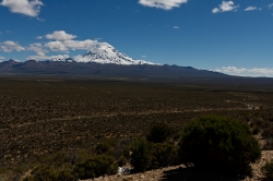 Altiplano