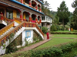 DSC00005