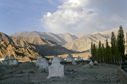 20090123_003