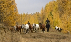 20100930_08