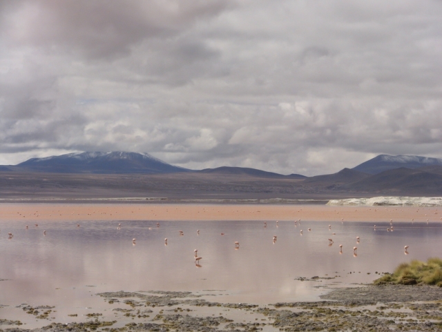 Altiplano