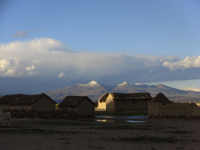 Altiplano