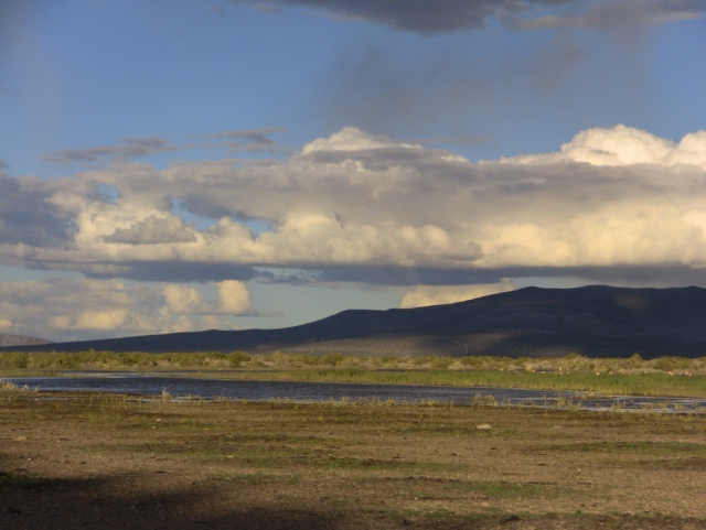 Altiplano