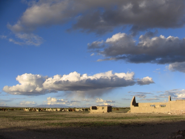 Altiplano