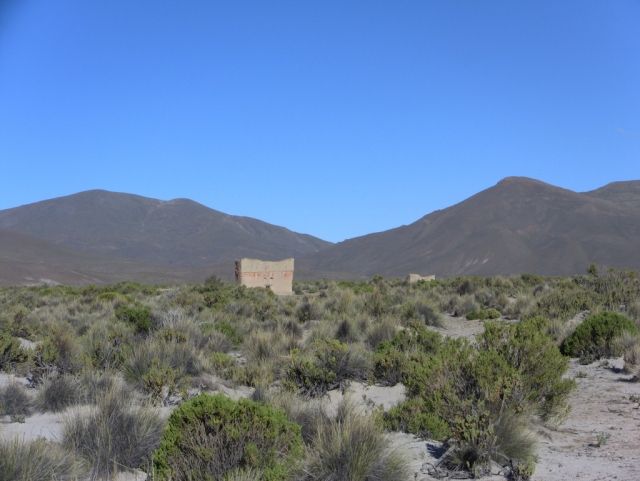 Altiplano