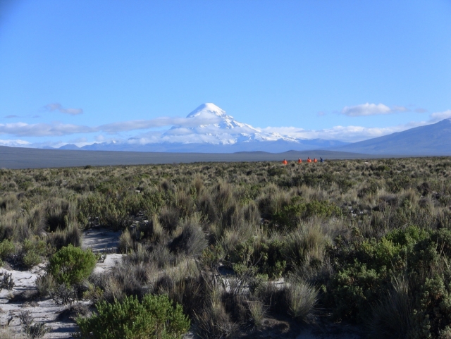 Altiplano