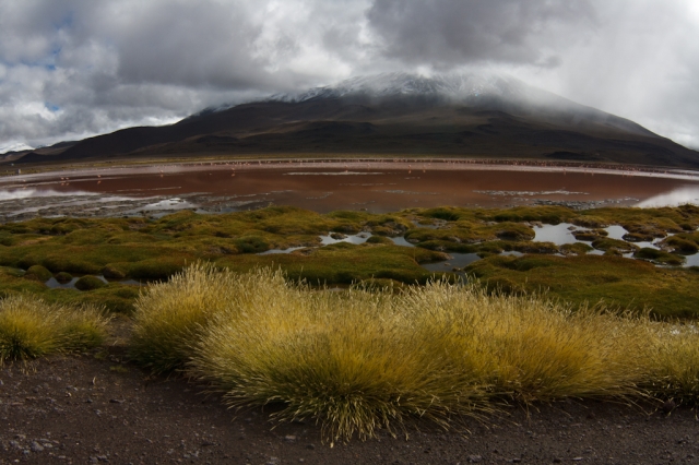 Altiplano