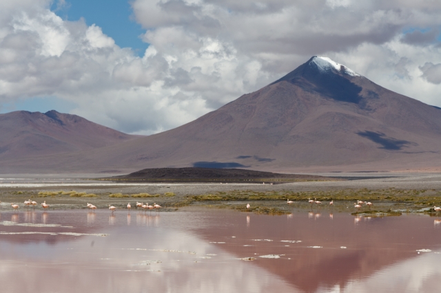 Altiplano