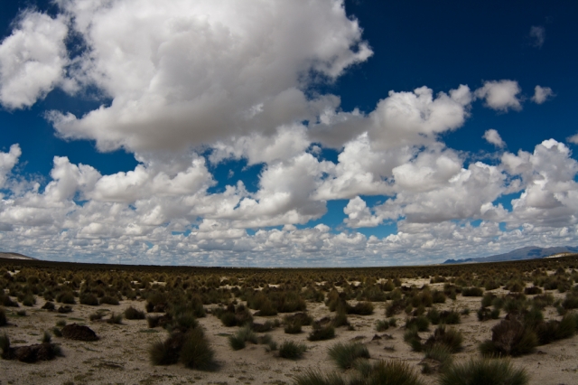Altiplano