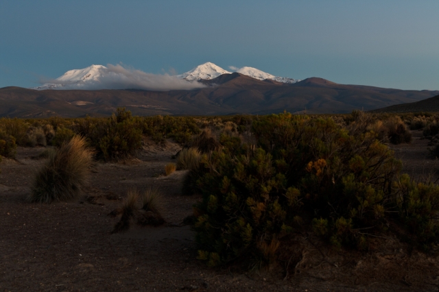 Altiplano