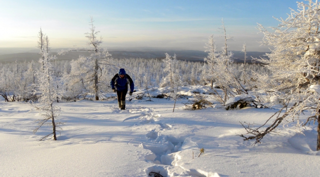 Chingikan_2012