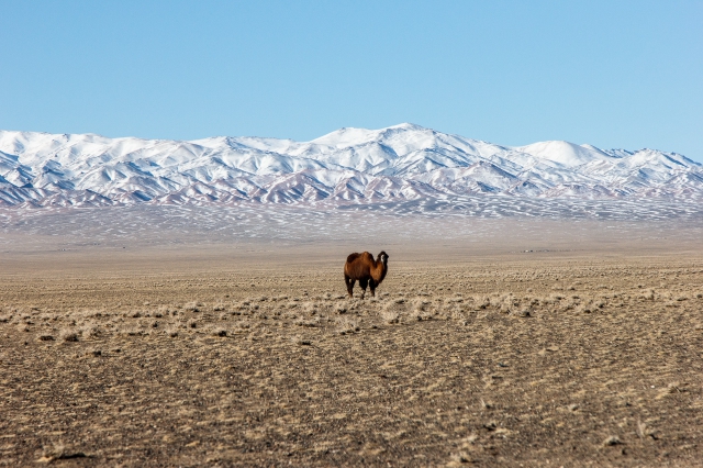Mongolia 2015