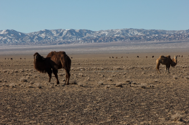 Mongolia 2015