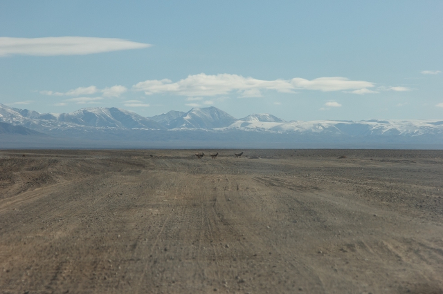 Mongolia 2015