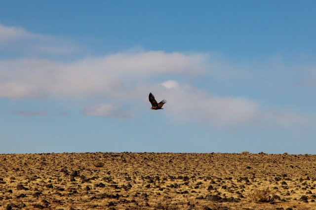 Mongolia 2015