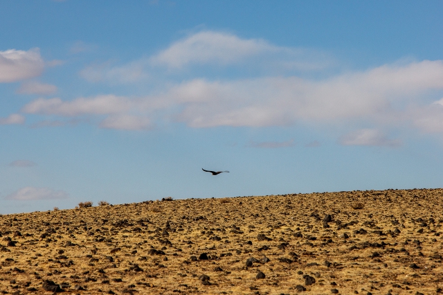 Mongolia 2015