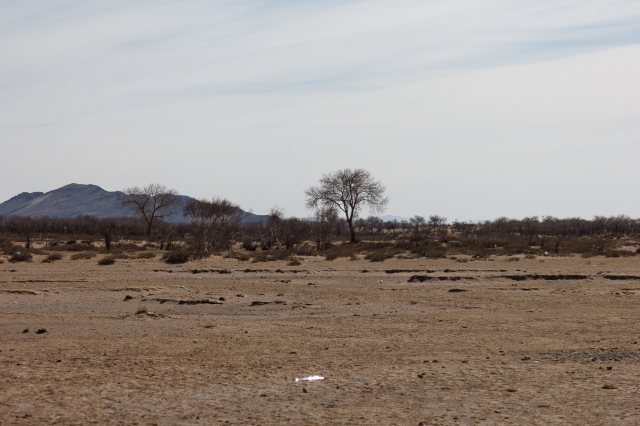 Mongolia 2015