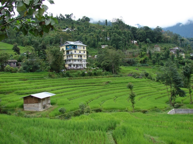 DSC00010