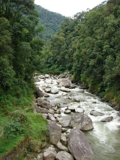 DSC00014