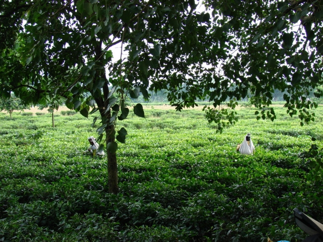 DSC09473
