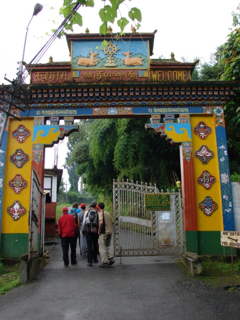 DSC09958