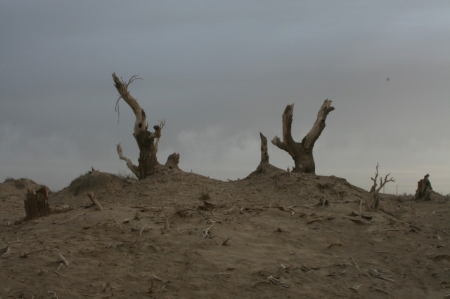 Taklamakan_23