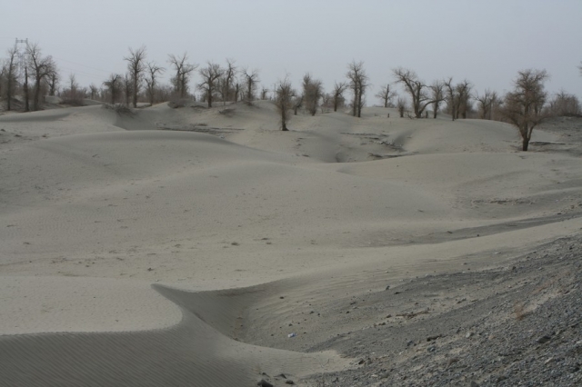 Taklamakan_25